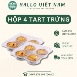 HỘP NHỰA 4 Ô ĐỰNG BÁNH TART FJ311 