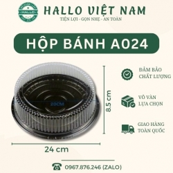 HỘP NHỰA ĐỰNG BÁNH A024