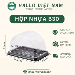 HỘP ĐỰNG BÁNH BÔNG LAN CUỘN KÈM ĐẾ ĐEN NẮP RỜI [B30]