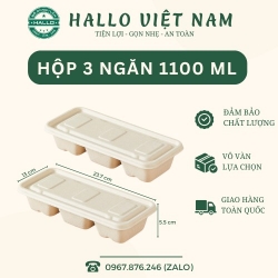 HỘP BÃ MÍA BA NGĂN NẮP GIỮ NHIỆT 1100ML DÙNG ĐỂ ĐỰNG CƠM, ĐỰNG BÁNH