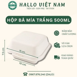 HỘP BÃ MÍA ĐỰNG BÁNH KEM MINI