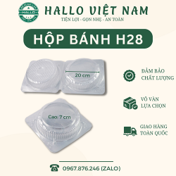 HỘP NHỰA ĐỰNG BÁNH BÔNG LAN TRUNG MUỐI H28 20CM