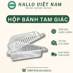 HỘP TAM GIÁC GẬP ĐỰNG BÔNG LAN TRỨNG MUỐI