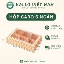 HỘP CARO CAM 6 NGĂN ĐỰNG MOCHI, LAVA TRỨNG CHẢY, BÁNH TRUNG THU