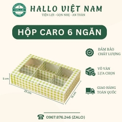 HỘP CARO XANH 6 NGĂN ĐỰNG MOCHI, LAVA TRỨNG CHẢY, BÁNH TRUNG THU
