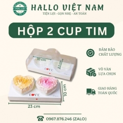 HỘP MICA TIM 2 NGĂN ĐỰNG BÁNH LẠNH - HỘP MICA TIM ĐÔI ĐỰNG BÁNH CÓ QUAI XÁCH 