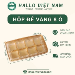 HỘP 8 NGĂN ĐỰNG BÁNH TRUNG THU - HỘP BÁNH 8 NGĂN ĐẾ VÀNG