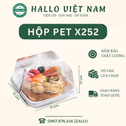 HỘP PET ĐỰNG BÁNH SANDWICH, BÁNH KEM, TIRAMISU [X252]
