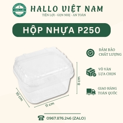 HỘP ĐỰNG TRÁI CÂY, HOA QUẢ 250G [P250]