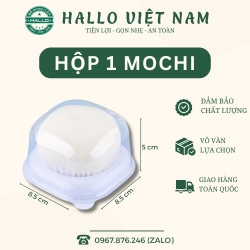 HỘP NHỰA 1 Ô ĐỰNG BÁNH MOCHI, BÁNH TRUNG THU, LAVA TRỨNG CHẢY