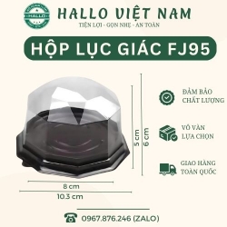 HỘP NHỰA FJ95 HÌNH LỤC GIÁC ĐỰNG BÁNH TRUNG THU, RAU CÂU, BÁNH NGỌT 