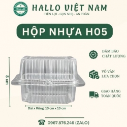 HỘP NHỰA H05 ĐỰNG BÁNH HÌNH VUÔNG