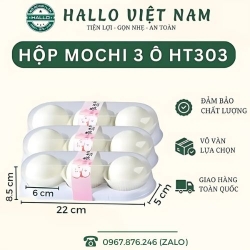 HỘP NHỰA 3 Ô HT303 ĐỰNG BÁNH MOCHI, BÁNH TRUNG THU, BÁNH LAVA TRỨNG CHẢY, BÁNH DỨA