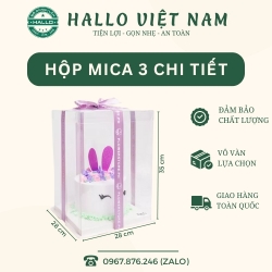 HỘP MICA 3 CHI TIẾT ĐỰNG BÁNH KEM, TRÁI CÂY 28*28*35cm (Không kèm ruy băng)