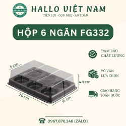 HỘP NHỰA ĐỰNG BÁNH TRUNG THU MINI, BÁNH LAVA TRỨNG CHẢY, BÁNH MOCHI 6 NGĂN LÕI TRÒN [FG332] 