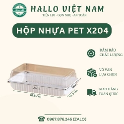 HỘP PET ĐỰNG BÁNH CUỘN, KHOAI LANG MOCHI, BÔNG LAN TRỨNG MUỐI [X204]