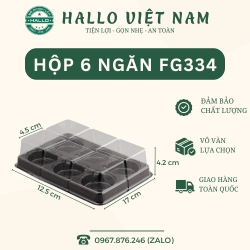 HỘP NHỰA ĐỰNG BÁNH TRUNG THU MINI, BÁNH LAVA TRỨNG CHẢY, BÁNH MOCHI 6 NGĂN LÕI TRÒN [FG334] 