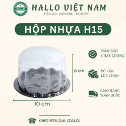 HỘP NHỰA BẦU H15 DÙNG ĐỂ ĐỰNG BÁNH, THẠCH RAU CÂU, ĐÀO TIÊN