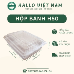 HỘP NHỰA H50 ĐỰNG BÁNH SU KEM, BÁNH TRÁNG TRỘN, BÁNH CREPE SẦU RIÊNG
