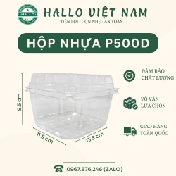 HỘP ĐỰNG TRÁI CÂY, HOA QUẢ 500G [P500D]
