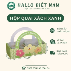 HỘP ĐỰNG BÁNH KẸO, BÁNH TRUNG THU, BÁNH QUY, BÁNH PÍA, BÁNH THUYỀN GẠO LỨC CÓ QUAI XÁCH