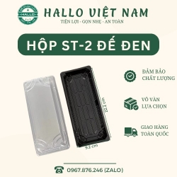HỘP ĐẾ ĐEN ST 2 ĐỰNG CƠM CUỘN, HỘP ĐẾ ĐEN ST 2 ĐỰNG SHUSHI, HỘP ĐẾ ĐEN ST 2 ĐỰNG BÁNH NGỌT