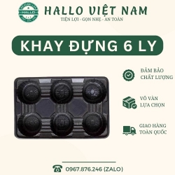 KHAY ĐỰNG LY 6 NGĂN ĐỰNG TRÀ SỮA MANG ĐI